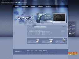 韩国某数码产品销售公司模板演示 网通演示服务器
